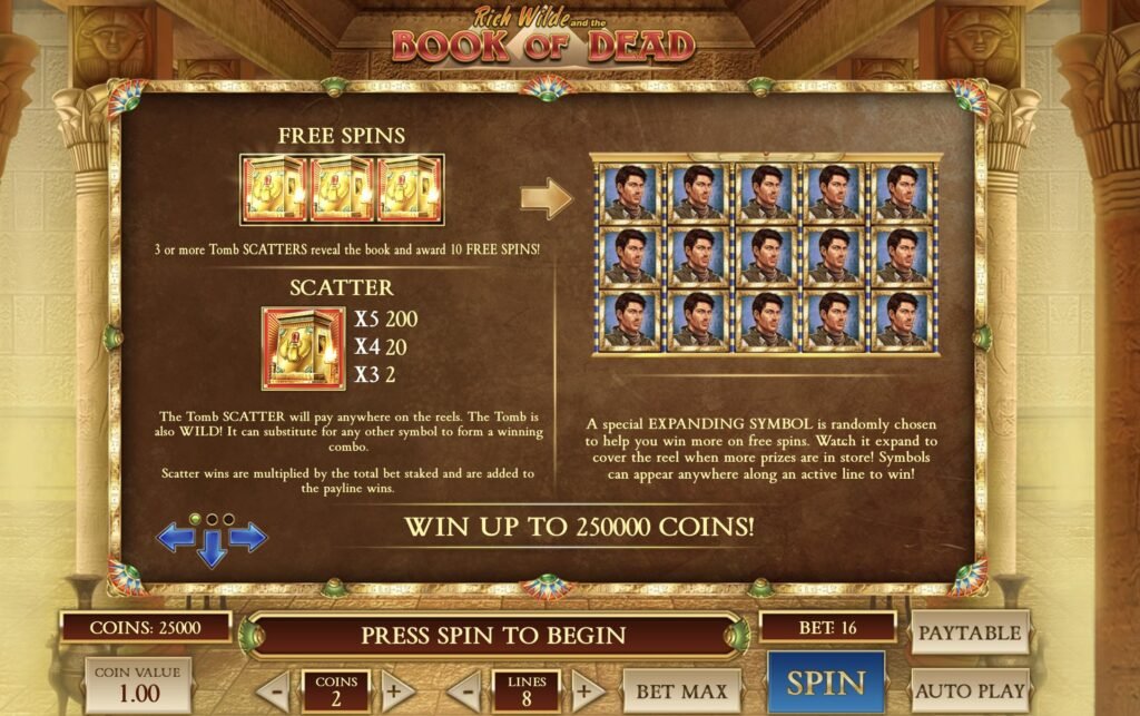 Dołącz do 1win Casino i zagraj w slot Book of Dead