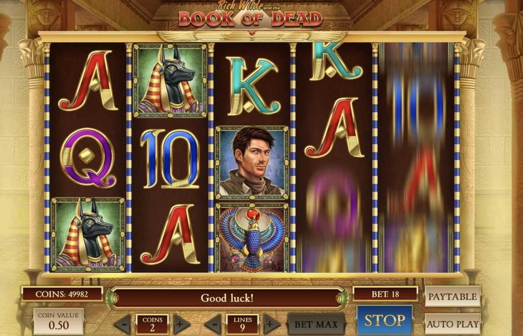 Book Of Dead slot machine at Vulkan Vegas online casino