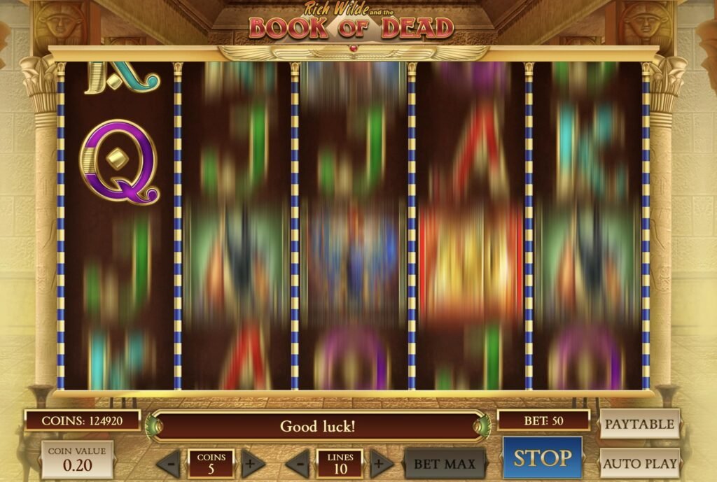 Jogo de dinheiro no slot Book of Dead